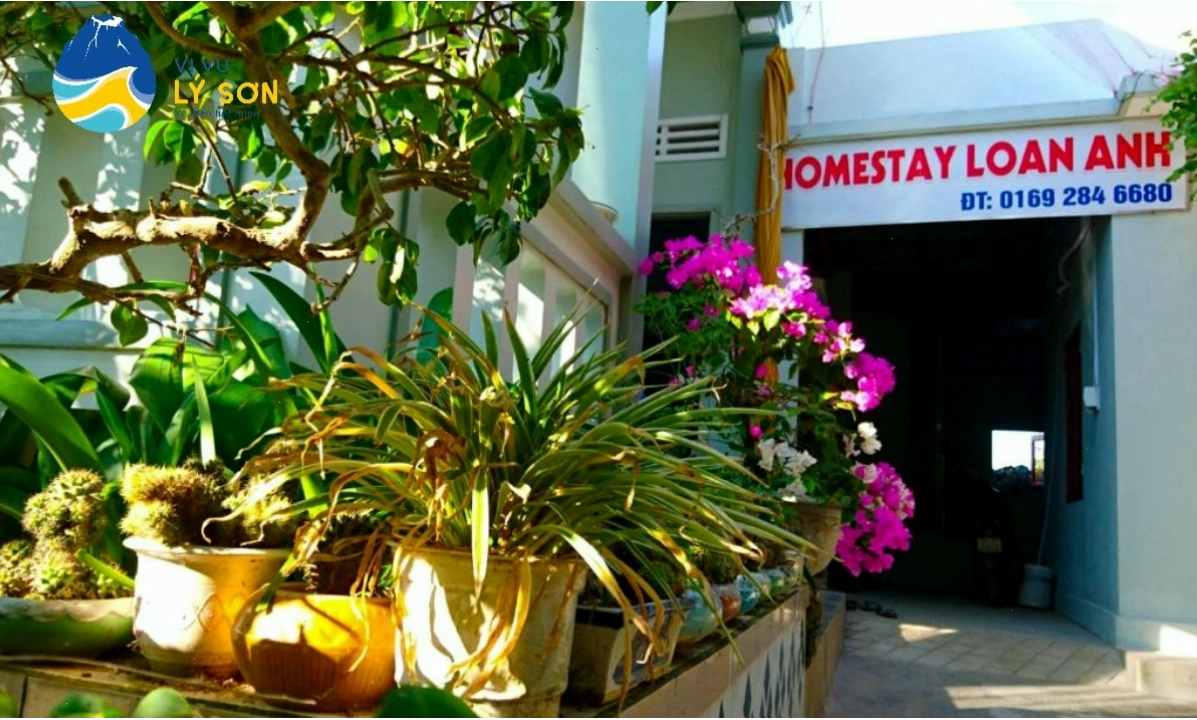 Homestay Loan Anh Lý Sơn với tầm nhìn đẹp ra biển