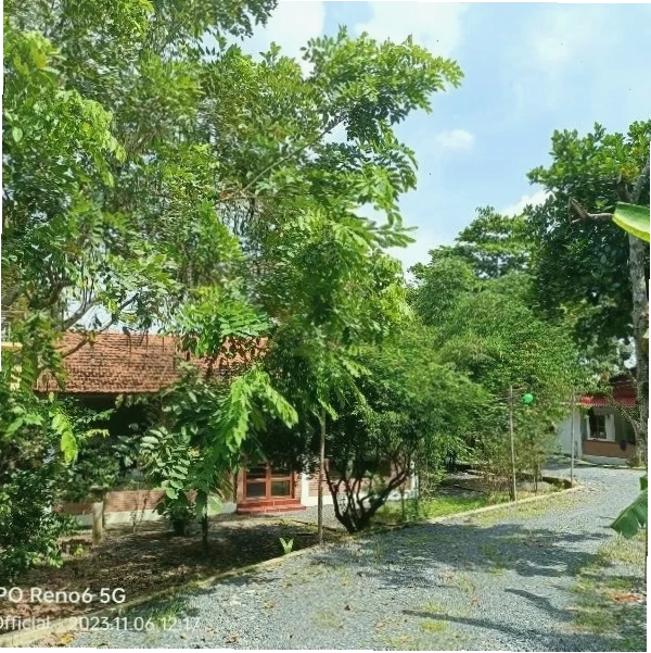 Homestay Mẹ Khang 2 với sân khấu trời và view sông nước