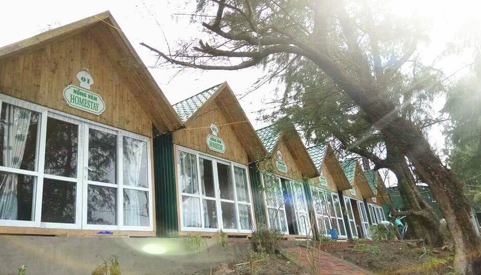 Hồng Vàn Homestay Cô Tô: Điểm đến lý tưởng cho kỳ nghỉ dưỡng