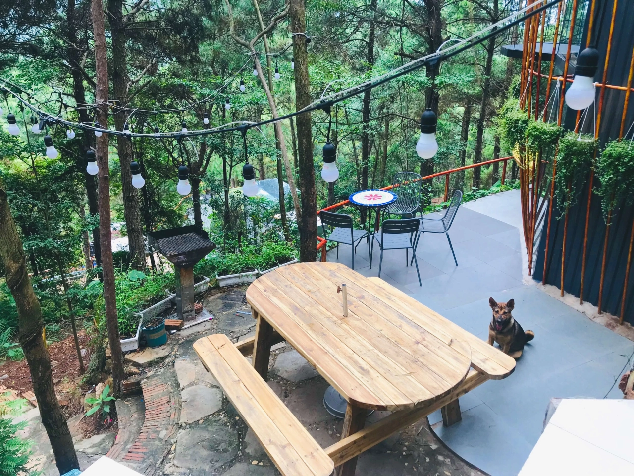 Kayla Homestay Ba Vì: Trải nghiệm nghỉ dưỡng giữa thiên nhiên