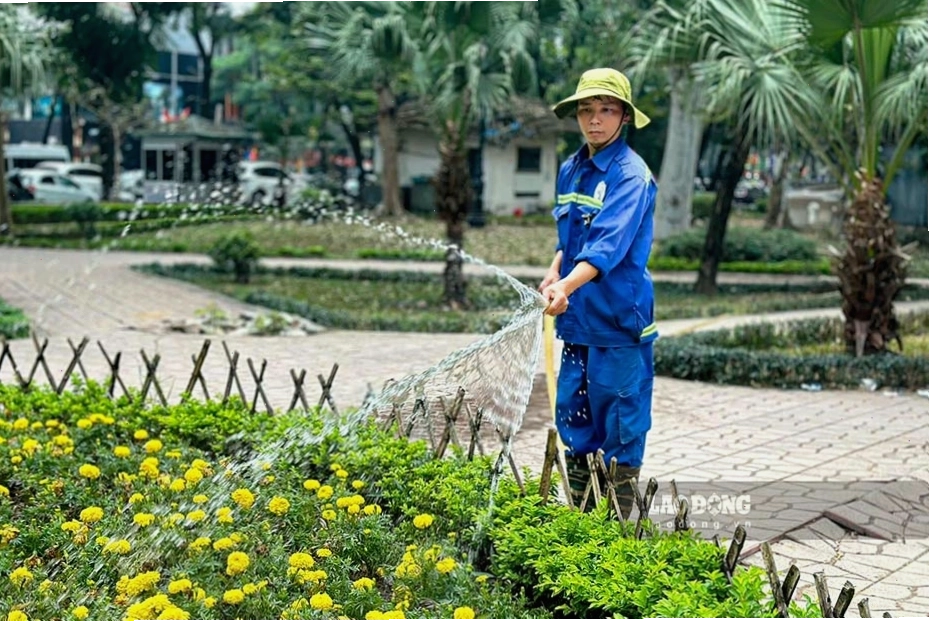 Kế hoạch cải tạo Công viên Indira Gandhi theo hướng bảo tồn và nâng cấp