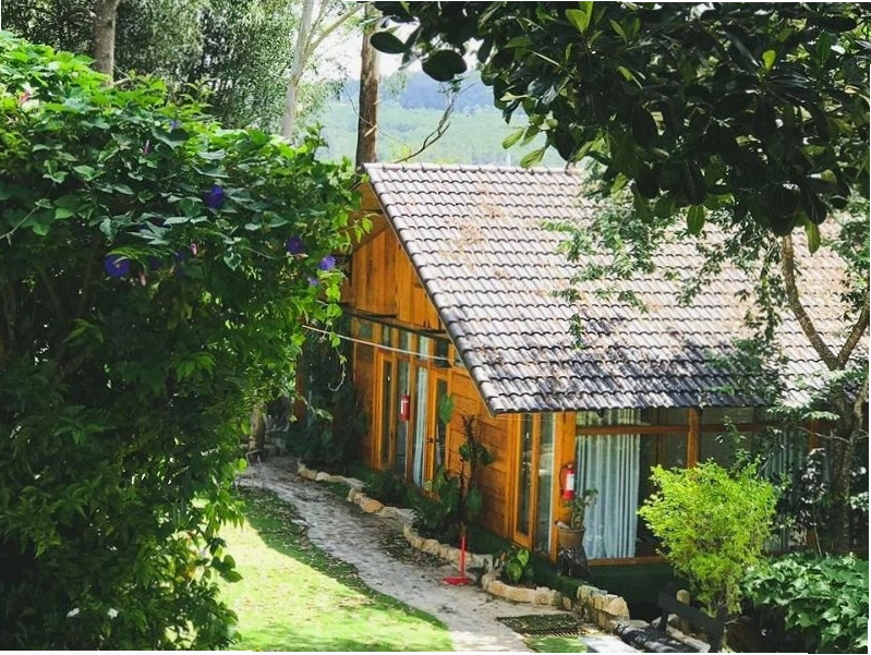 Kenny House homestay Đà Lạt có view rừng thông đẹp và không gian ấm cúng