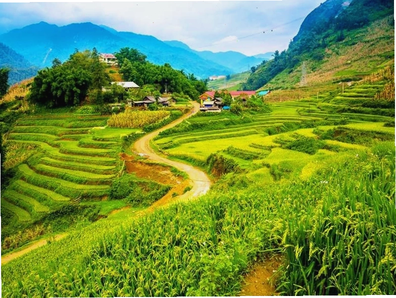 Khách du lịch đang trekking tại khu vực Lao Chai Ta Van Village