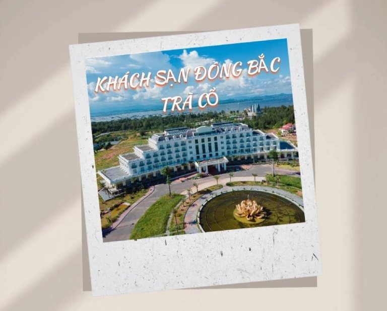 Khách sạn Đông Bắc Trà Cổ: Điểm Dừng Chân Lý Tưởng Tại Vùng Biển Địa Đầu Tổ Quốc