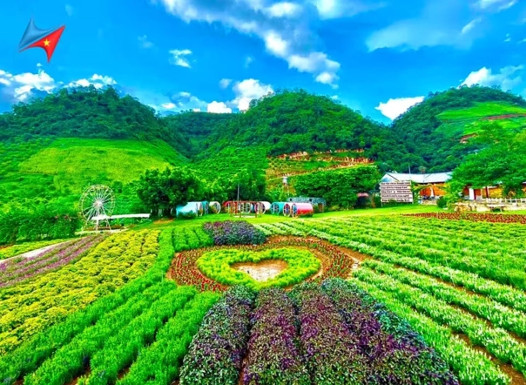 Khách sạn Mộc Châu: Top 16 lựa chọn lý tưởng cho chuyến đi đáng nhớ