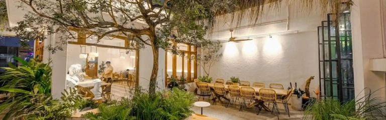 Khám phá 10+ Quán Cafe Cây Xanh TPHCM: Ốc đảo xanh mát giữa lòng thành phố