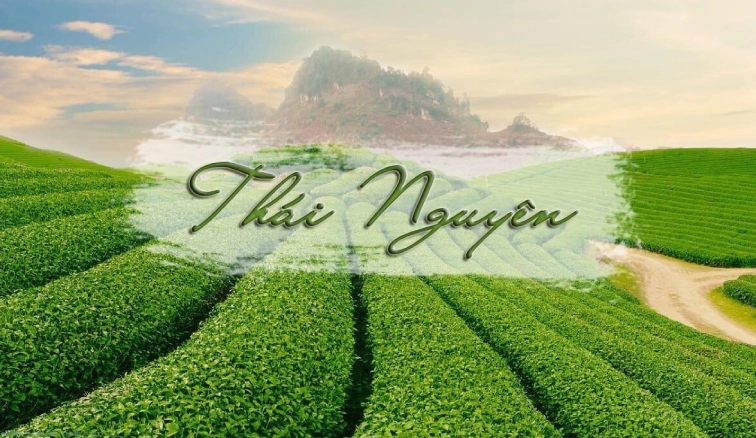 Khám phá 15 địa điểm du lịch Thái Nguyên đẹp tựa tiên cảnh