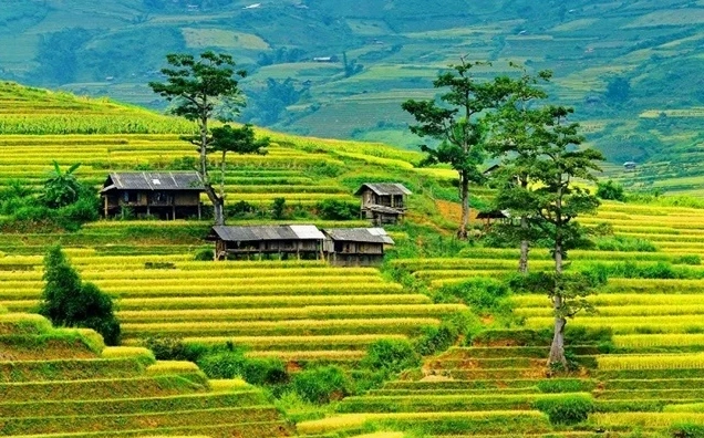 Khám phá 18 địa điểm du lịch Yên Bái đẹp mê hồn