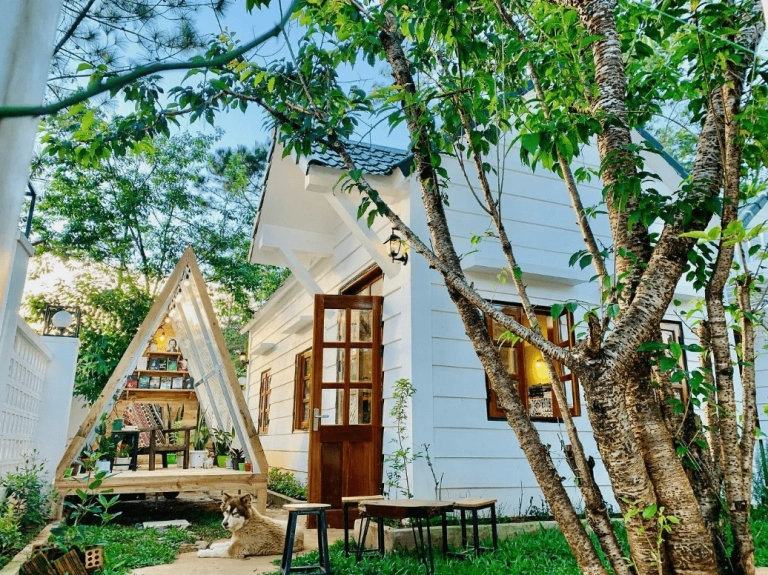 Khám phá 27 Homestay Đẹp, Giá Tốt Nhất Tại Măng Đen Kon Tum