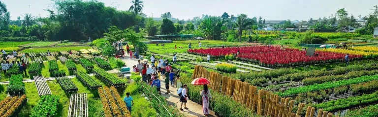 Khám phá 7 khu vui chơi sinh thái Đồng Tháp hút khách nhất 2026