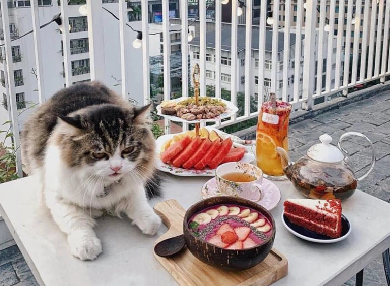Khám phá 8 Quán Cafe Nguyễn Khánh Toàn View Đẹp và Đồ Uống Hấp Dẫn