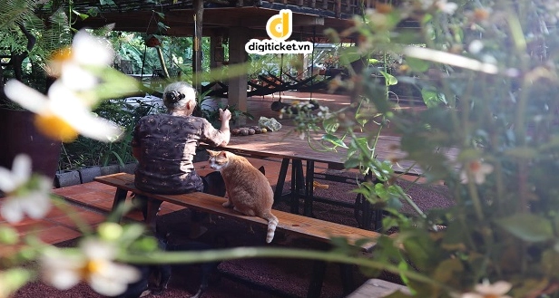 Khám phá Bà Đất Eco Homestay: Điểm hẹn bình yên bên hồ Trị An