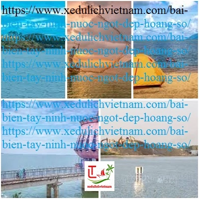 Khám Phá 'Biển' Tây Ninh: Suối Bà Chiêm - Điểm Hẹn Bình Yên Giữa Lòng Long Khách