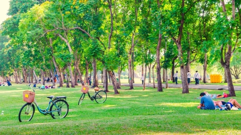 Khám phá các công viên lớn nhất Sài Gòn điểm đến xanh lý tưởng