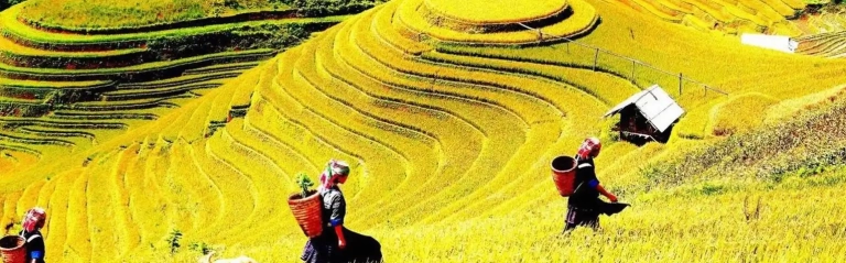 Khám phá các điểm du lịch Yên Bái hấp dẫn nhất