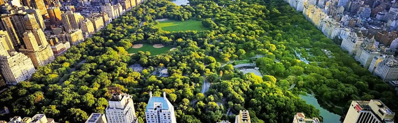 Khám phá Central Park: Lá phổi xanh và biểu tượng New York