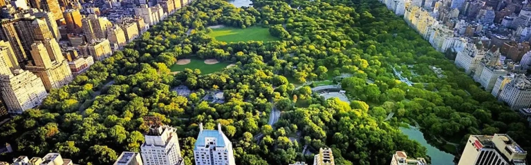 Khám phá Central Park: Lá phổi xanh và biểu tượng New York
