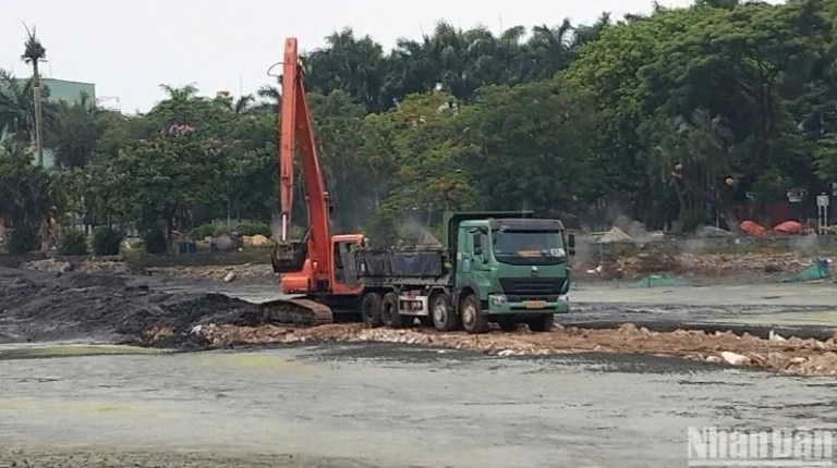 Khám phá Công viên 29 Tháng 3 Đà Nẵng: Lá phổi xanh giữa lòng thành phố