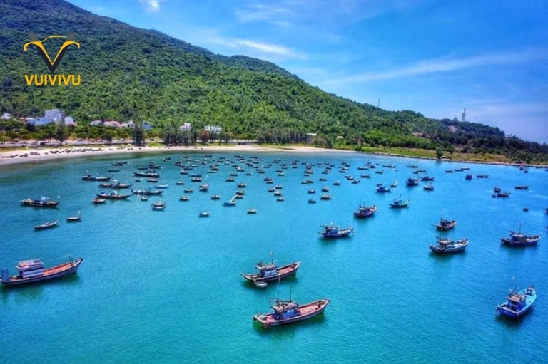 Khám phá cung đường biển Đà Nẵng: Vẻ đẹp say đắm lòng người