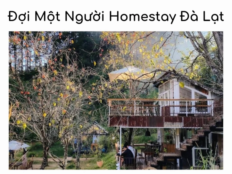 Khám Phá Đợi Một Người Homestay Đà Lạt: Nơi Bình Yên Chờ Đón Bạn