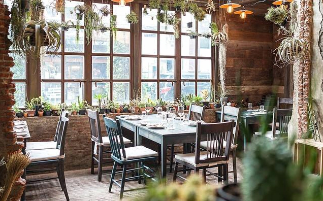 Khám phá Gardenista Cafe Vạn Bảo: Điểm hẹn lý tưởng cho giới trẻ và gia đình