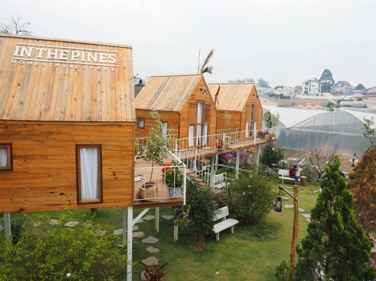 Khám phá Homestay Nhà Gỗ Đà Lạt: Chốn Bình Yên Giữa Lòng Thành Phố Ngàn Hoa