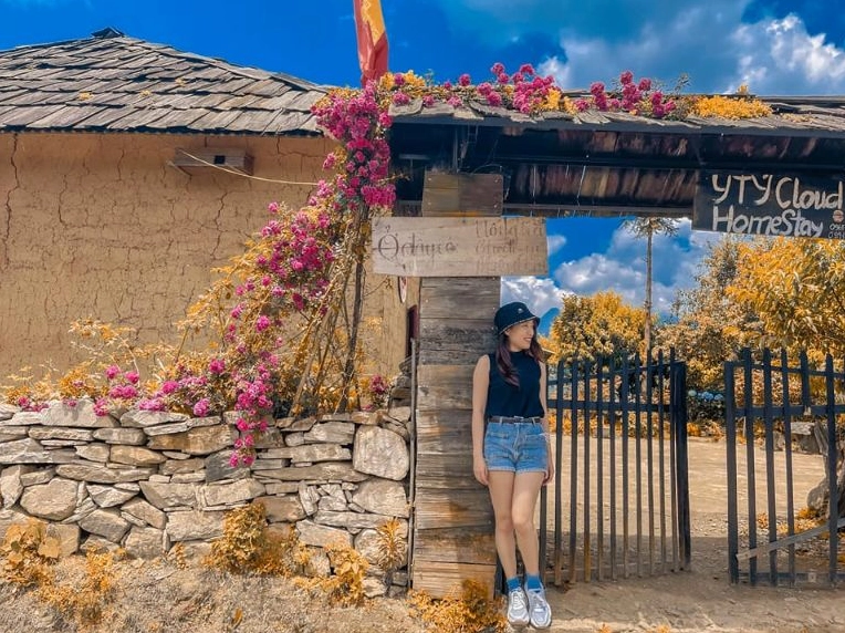 Khám Phá Homestay Y Tý: Thiên Đường Săn Mây và Lúa Vàng