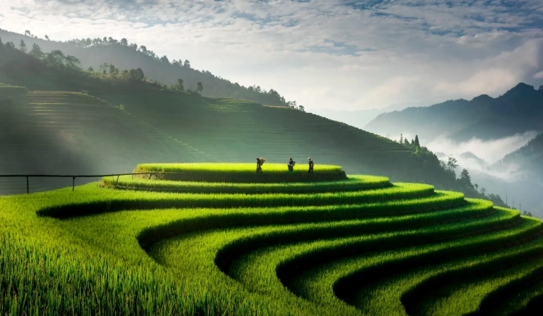 Khám Phá Homestay Yên Bái: Điểm Dừng Chân Lý Tưởng Cho Mùa Du Lịch 2026