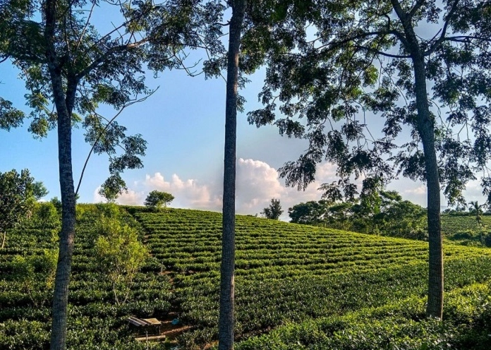 Khám phá những con suối đẹp và thơ mộng tại Thái Nguyên