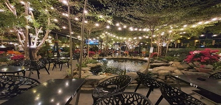Khám phá những quán cafe nổi tiếng Sài Gòn với không gian độc đáo