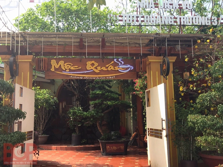 Khám phá quán cafe đẹp ở Bắc Giang: Điểm hẹn lý tưởng cho mọi tín đồ