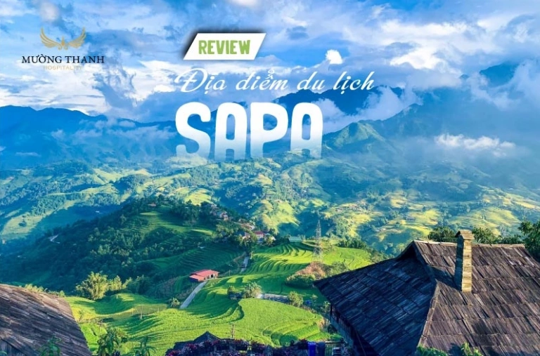 Khám Phá Sapa Toàn Diện: Review Địa Điểm Du Lịch Hấp Dẫn Nhất 2026