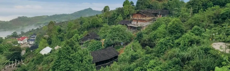 Khám phá Suối Giàng ở đâu: Vẻ đẹp mây ngàn và hương trà Shan