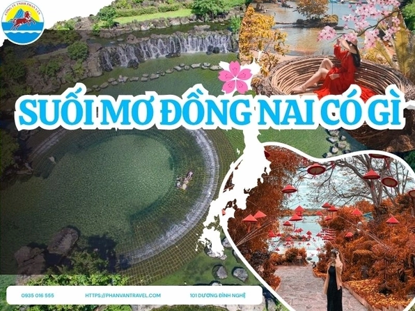 Khám phá Suối Mơ Tân Phú Đồng Nai: Điểm đến 'biển trên rừng' 2026