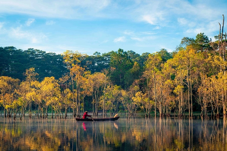 Khám phá Suối Tía Đà Lạt vẻ đẹp huyền bí giữa rừng thông