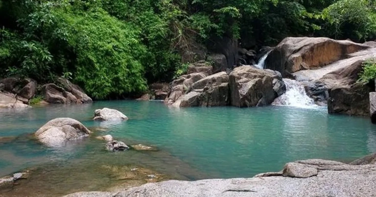 Khám phá Suối Tiên Vũng Tàu: Điểm hẹn lý tưởng cho hành trình khám phá thiên nhiên