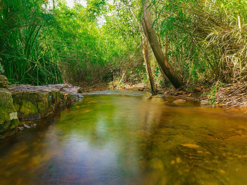 Khám phá Suối Trúc Tây Ninh: Cảnh đẹp hoang sơ và hành trình chinh phục