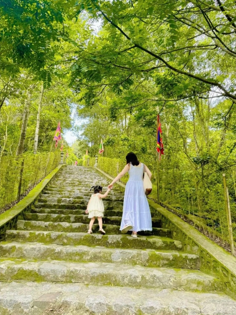 Khám phá Thiên đường Nghỉ dưỡng Bãi Đông Resort Nghi Sơn 2026