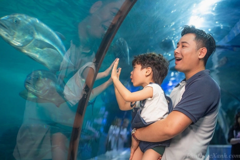 Khám phá Thủy cung Times City: Đại dương kỳ diệu giữa lòng Hà Nội