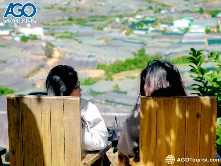Khám phá Tiệm cà phê Túi Mơ To Đà Lạt: Thiên đường sống ảo và thưởng thức hương vị