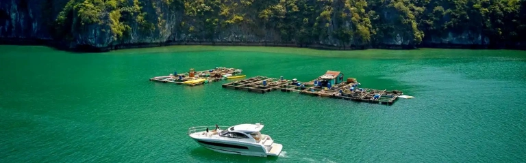 Khám phá Top 10 Điểm Du Lịch Quảng Ninh Hấp Dẫn Nhất 2026