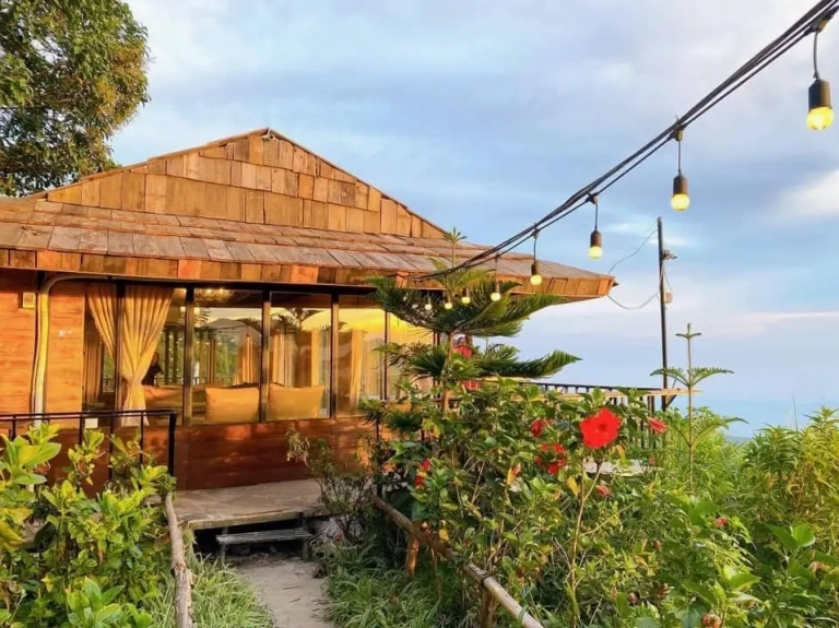 Khám Phá Top Homestay Tam Đảo: Giá Rẻ, View Đẹp Cho Kỳ Nghỉ 2026