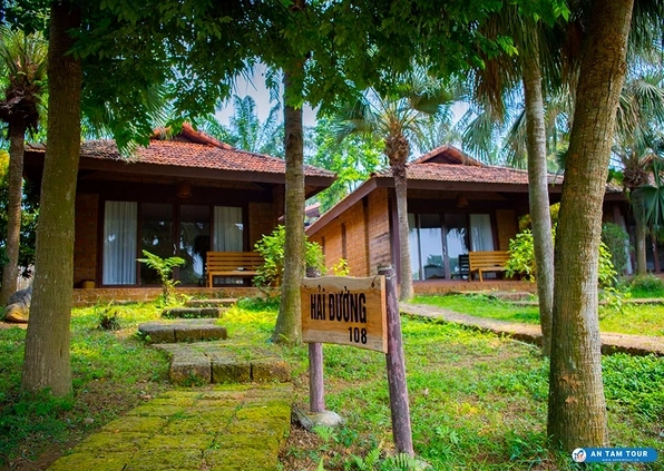 Khám phá Tour Thảo Viên Resort 1 ngày: Trải nghiệm thiên nhiên và giải trí đỉnh cao