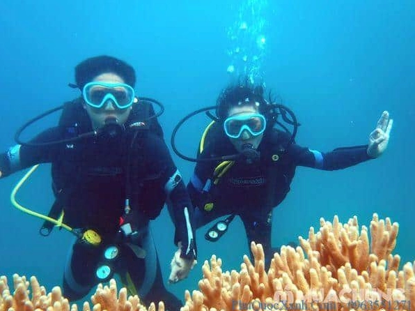 Khám phá Việt Nam: Top điểm lặn biển ngắm san hô tuyệt đẹp
