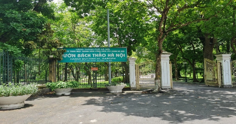 Khám phá Vườn Bách Thảo Hà Nội: Lá phổi xanh giữa lòng thủ đô
