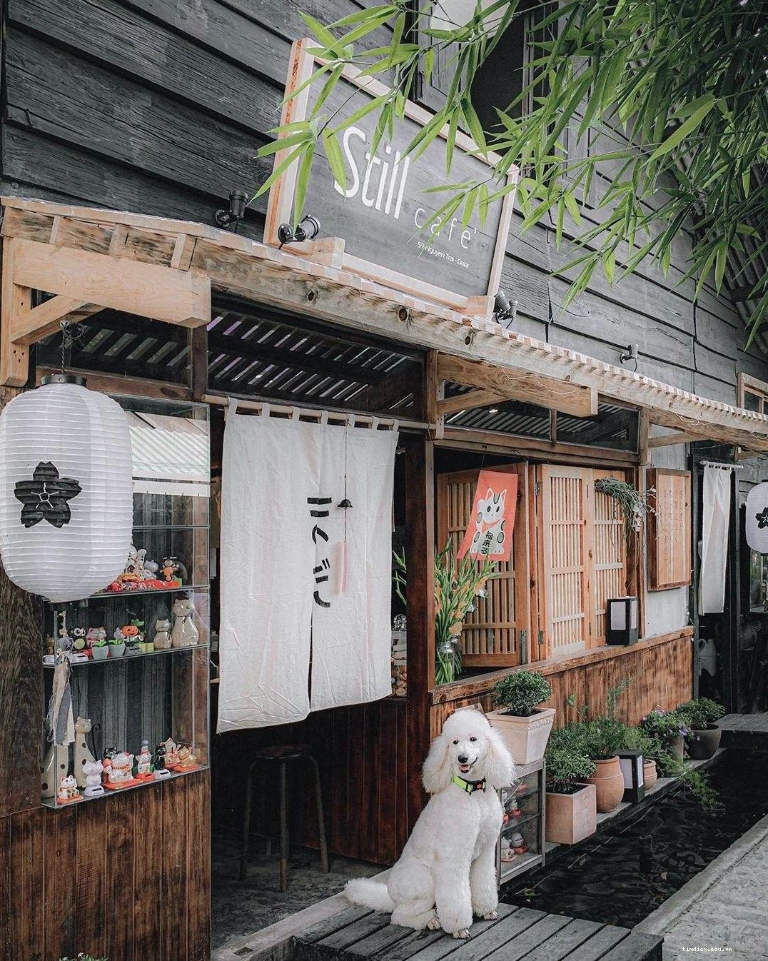 Không gian ấm cúng của Still Cafe Đà Lạt nhìn từ bên ngoài