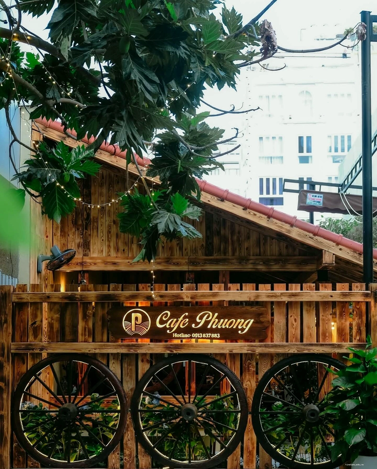 Không gian Cafe Phượng Các với những mảng xanh mát mắt