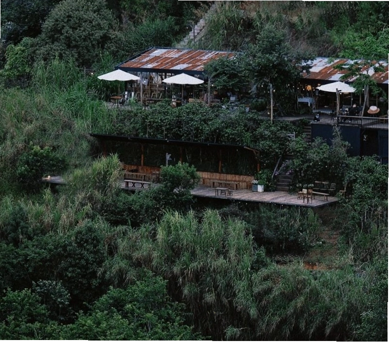 Không gian Forest Cafe với nhiều cây xanh và ánh sáng tự nhiên