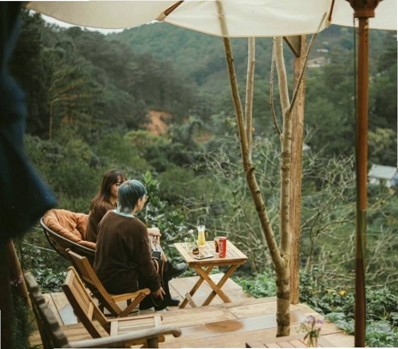 Không gian Forest Cafe yên tĩnh với ánh đèn vàng ấm áp
