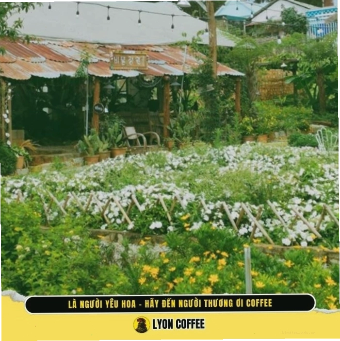 Không gian lãng mạn và yên tĩnh tại Tiệm cafe Người Thương Ơi